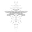 Vector illustration with hand drawn dragonfly and Sacred geometric symbol on white background. Abstract mystic sign. Black linear shape. For you design.