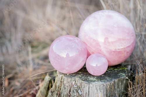 Cuadros en Lienzo 3 rose quartz crystal balls in different sizes laying on a tree in the forest