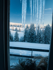 Window with icicles, group of trees in the background. Winter in the Czech Republic.