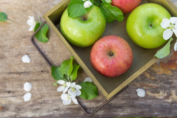 Wall Mural - Fresh sweet juicy red and green apples with flowers on a wooden background