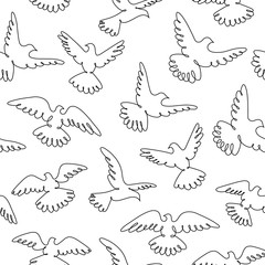 Wall Mural - Pigeons fly. Line drawing. A flock of flying birds. Seamless pattern.