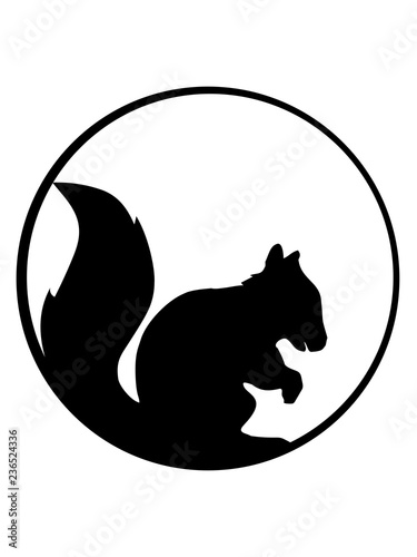 Nacht Mond Sonne Kreis Rund Logo Silhouette Schwarz Eichhornchen Nagetier Suss Niedlich Sitzend Comic Cartoon Design Grauhorchen Klein Baum Wald Herbst Nusse Clipart Stock Illustration Adobe Stock