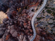 © Javier Pardina/Stocksy - Top view of a road between autumn forest at mountains.