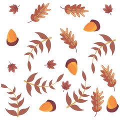 Sticker - acorns and leaves decoration background