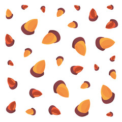 Sticker - acorns nuts decoration white background