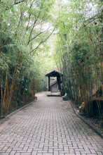Path In Chinese Style Garden