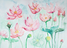 Lotus Flowers, Leaves And Buds On A Greenisch Background. The Dabbing Technique Near The Edges Gives A Soft Focus Effect Due To The Altered Surface Roughness Of The Paper.