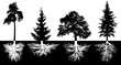 Set of trees with roots, vector silhouette. Forest trees, pine, fir-tree, spruce, oak