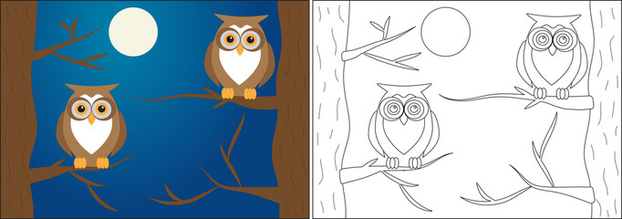 Wall Mural - Coloring book for children. Owls on branches of trees at night, cartoon. Vector illustration.