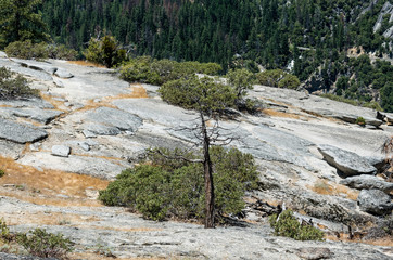 Sticker - Scenic landscape of Yosemite Valley, California, USA