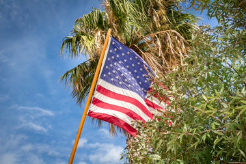 United States of America Flag Blowing with a Palm Tree