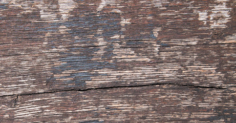 Wooden background close up.