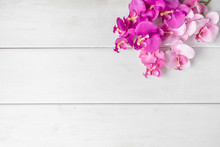 Artificial Orchids On White Wooden Background.