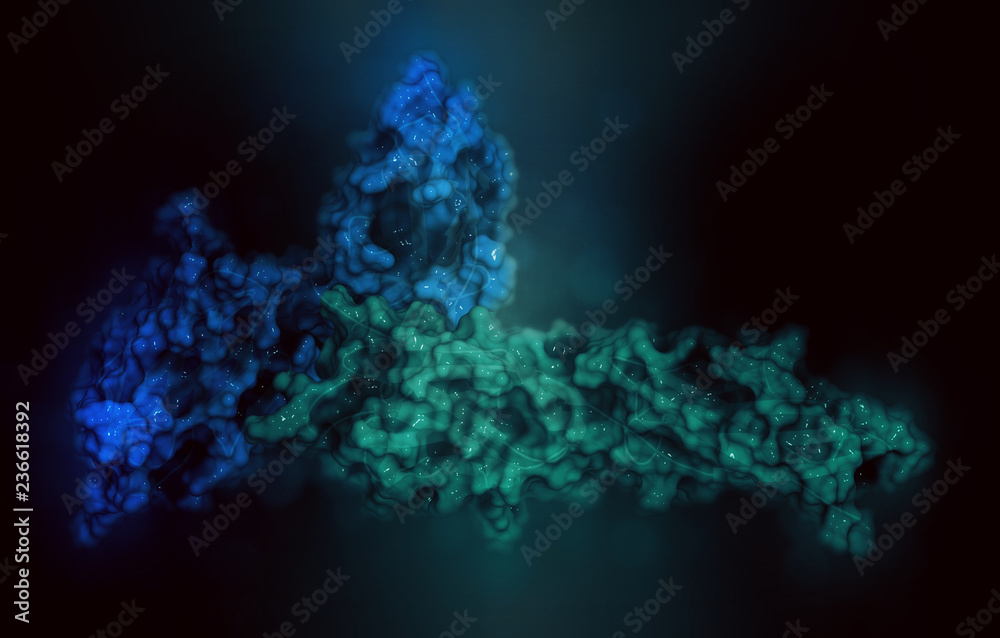 Programmed cell death 1 (PD-1, CD279, blue) immune checkpoint protein ...