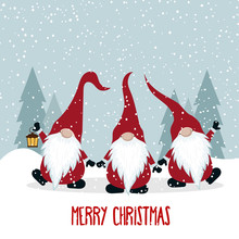 Christmas Card With Funny Gnomes