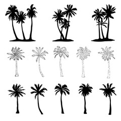 Vector palm tree silhouette icons on white background.