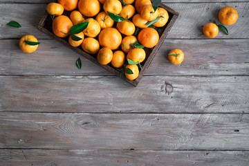 Canvas Print - Tangerines (clementines)