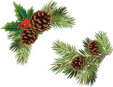 Fototapeta  - Vector Christmas tree branch with pine cones and mistletoe