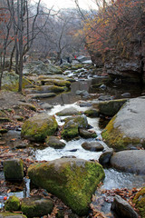 Canvas Print - rock and creek in a geological park