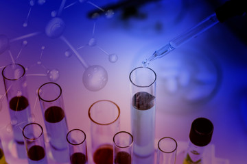Wall Mural - science research concept,dropping chemical liquid to test tube in chemical laboratory