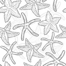 Vector Seamless Pattern Starfish. Sea Star Monochrome Black White Outline Sketch Illustration Isolated On White Background For Design On Marine Theme.