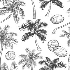 Vector seamless pattern of palm. Different black white kinds of tropical palmtrees and coconut. Contour sketch background monochrome isolated on white background.