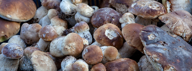 mushrooms on market