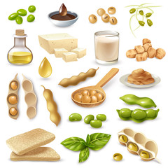 Wall Mural - Soy Food Products Set