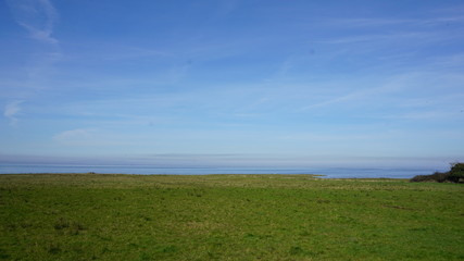 green field and blue sky