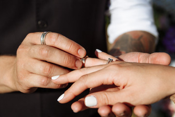 Wall Mural - wedding couple wearing gold finger rings