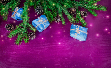 spruce green branch with gifts and fir cones on purple wooden background