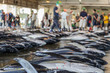 © Mario - Tuna fish on japanese fish market lying in a hall on the ground in regular pattern