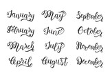 Fototapeta  - Set of months hand lettering: January to December