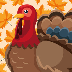 Poster - Turkey icon image