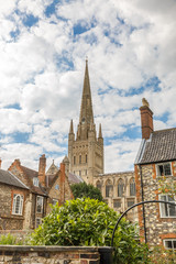 Vertical view of some houses and the catholic church in the city of Norwich