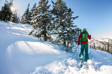 Male skier freeride skitur uphill in snow in winter forest