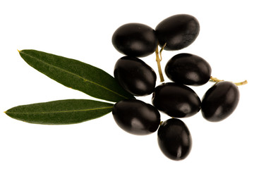 Ripe black olives on a branch isolated over white background