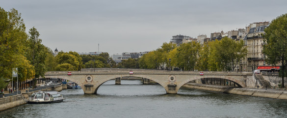 Landscape of Seine River with old bridges