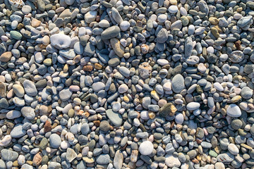 Wall Mural - Pebble (stones) as a texture