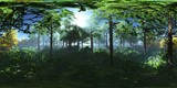 Fototapeta  - Forest in the fog, HDRI, environment map , Round panorama, spherical panorama, equidistant projection, 360 high resolution panorama
