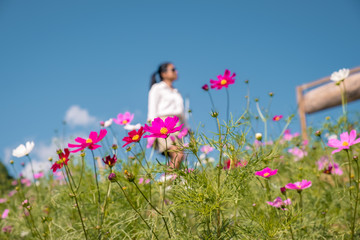 Wall Mural - young woman at the mountains of Mon Cham Chiang Mai Thailand, fresh look of flowers outdoor woman spring view