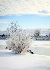 Canvas Print - Winter scene in Central Kentucky