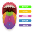 Realistic tongue with basic taste areas. Tasting map in human mouth vector illustration. Umami and salty, bitter and sour