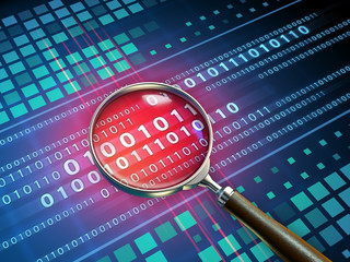 binary code inspection