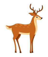 Wall Mural - Brown deer. Hoofed ruminant mammals. Cartoon animal design. Cute deer with antlers. Flat vector illustration isolated on white background
