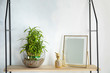 Shelf with green lucky bamboo in glass bowl and decor on light wall