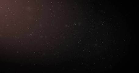 Wall Mural - particles of organic dust on a dark background.