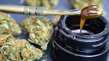 Marijuana With THC/CBD Oil Extract On Dab Tool