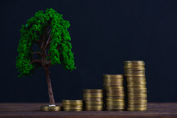 Tree growing on pile of golden coins, growth business finance investment and Corporate Social Responsibility or CSR practice and sustainable development concept.