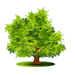 Wall Mural - detached tree with green leaves